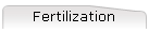 Fertilization