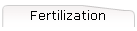 Fertilization
